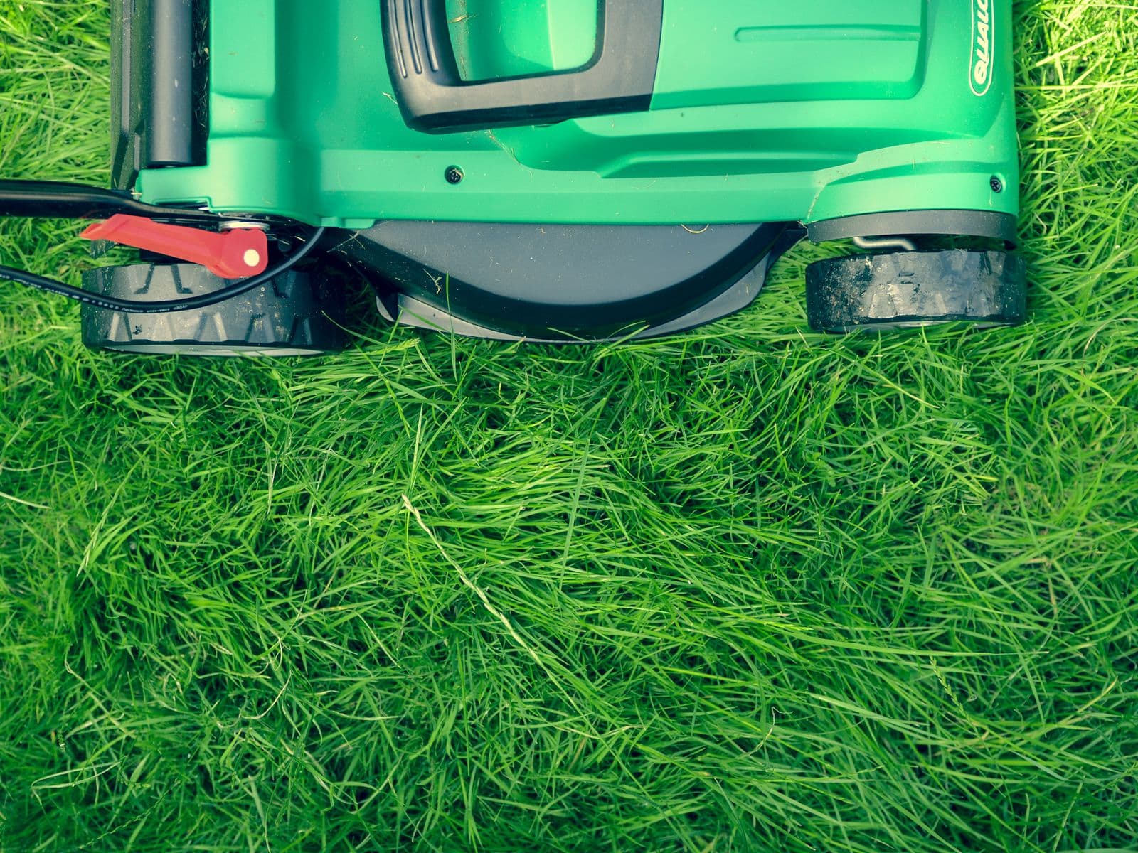 Lawn mower cutting a stripe through thick green grass